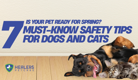 Ad for spring pet safety. Shows Rottweiler dog and tabby cat. Text asks if pet is ready for spring and lists '7 Must-Know Safety Tips'. Healers PetCare logo.