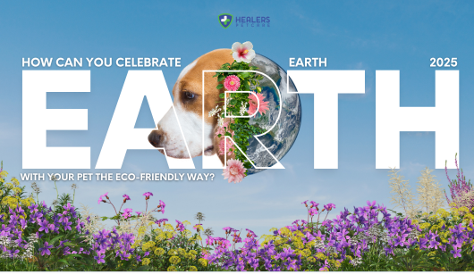 Earth Day 2025 graphic with a dog's face merged with Earth image. Purple flowers in foreground. Text asks about eco-friendly pet celebrations. Healers logo.