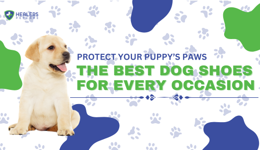 Protect Your Puppy's Paws: The Best Dog Shoes for Every Occasion_featureimg