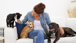 How To Find The Perfect Sitter For Your Family Pet