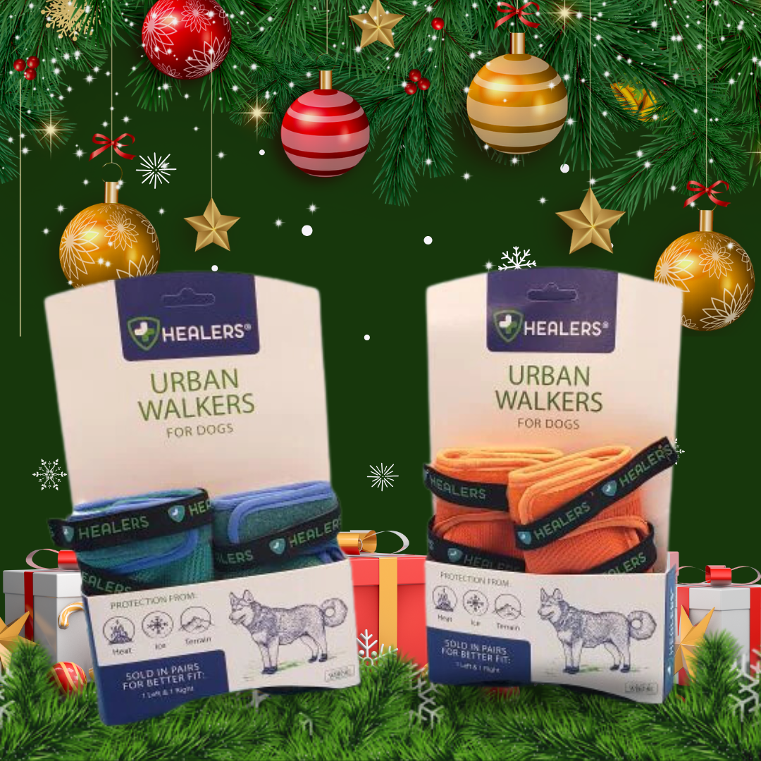 Healers Urban Walkers dog boots in blue and orange, packaged and displayed with Christmas decorations and gifts, promoting safe paw protection for dogs during winter