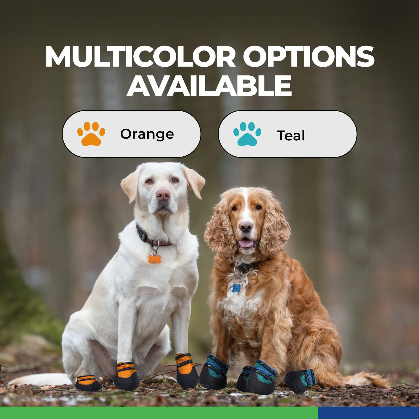 Two dogs sitting outdoors wearing Healers PetCare dog booties in orange and teal colors, showcasing multicolor options available for dog booties.