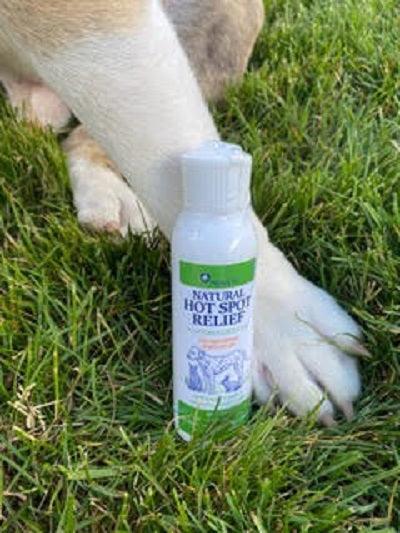 Healers PetCare Natural Hot Spot Relief bottle placed on green grass next to a dog’s white paw, showcasing pet care product for soothing skin irritation.