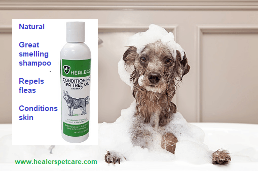Natural, great-smelling shampoo that repels fleas and conditions the skin, leaving your pet fresh and clean after every bath.