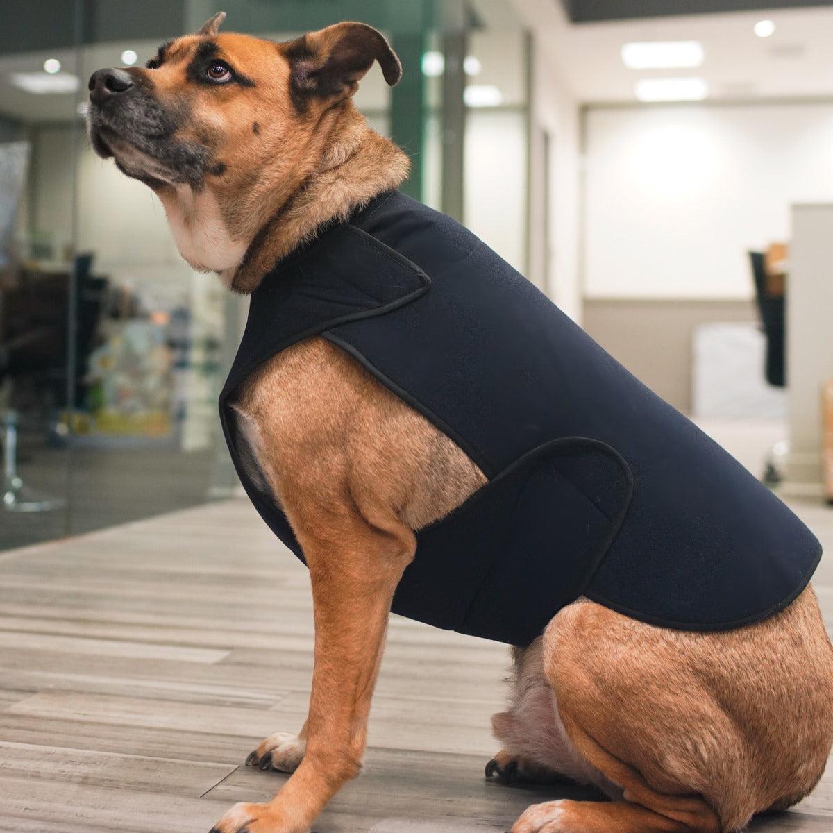 Help your dog stay calm and protected with our therapeutic body wrap—ideal for reducing anxiety, aiding recovery after surgery, and offering comfort for incontinence or pets in heat. Designed for a secure fit and soothing support.