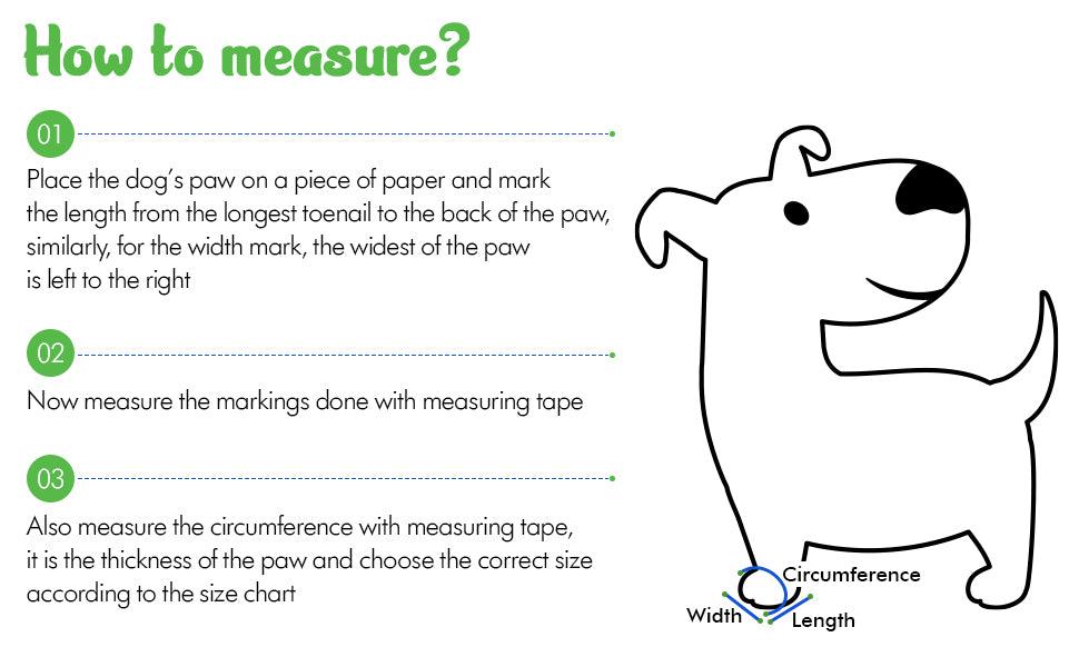 Step-by-step guide on how to measure your dog’s paw for proper boot size, including length, width, and circumference measurements with diagram