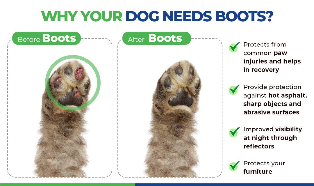 Comparison of dog paw before and after wearing protective boots, showing healed paw pads. Benefits include protection from common injuries, hot asphalt, sharp objects, improved night visibility with reflectors, and furniture protection.