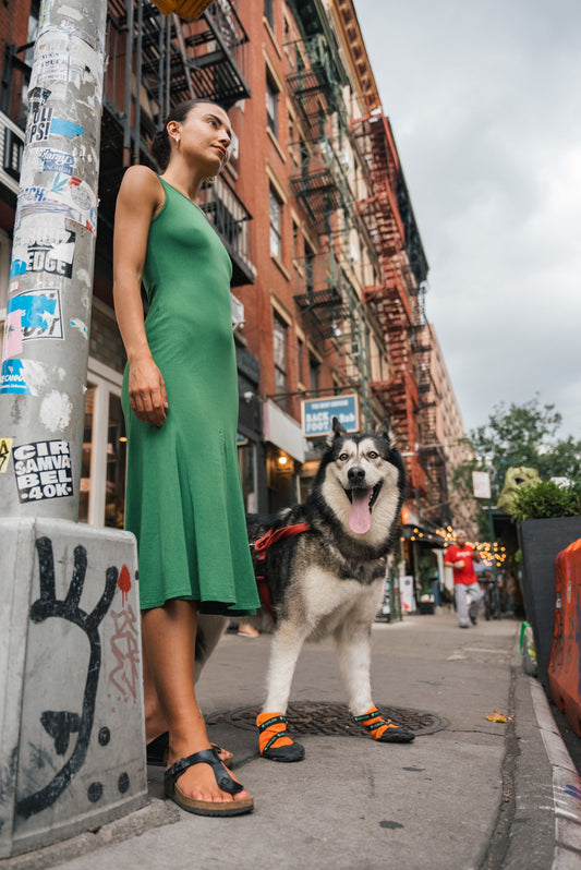 Dog wearing Healers Urban Walker boots on a city sidewalk — urban paw safety guide for hot pavement and ice melt