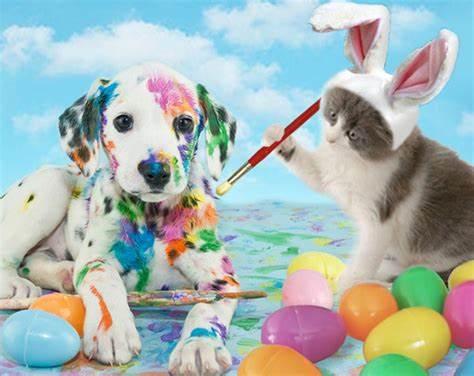 Dog and cat together at Easter, representing pet safety tips for the holiday including chocolate toxicity, xylitol dangers, Easter grass hazards, and toxic plants