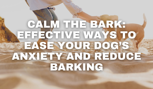 Anxious dog wearing a Healers therapeutic anxiety body wrap, helping reduce stress-related barking and calm nervous behavior
