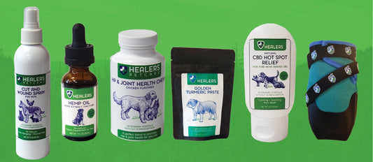 Healers PetCare founder Terri Entler announcing new pet health products and partnership with Healing Tree Naturals in 2019