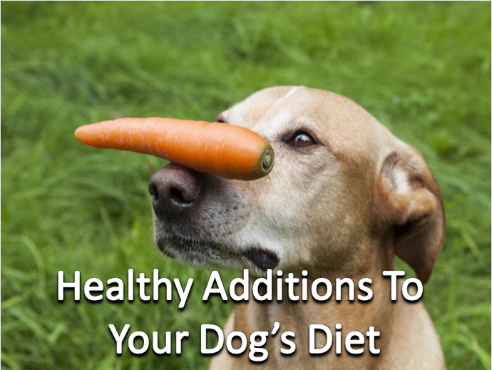 Healthy Additions To Your Dogs Diet