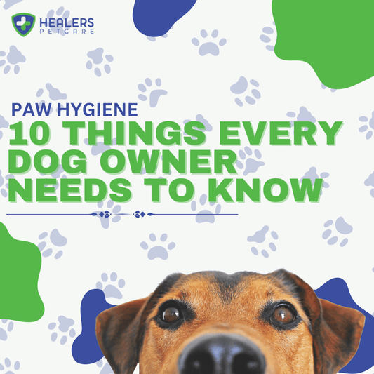 Infographic-style blog header for 10 paw hygiene tips every dog owner needs to know, featuring Healers Medical Boots and Urban Walkers for paw protection