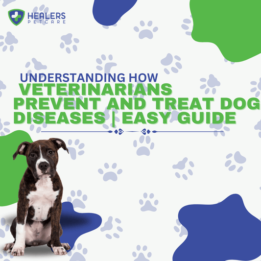 Veterinarian examining a dog during a routine checkup, highlighting the role of vets in preventing and treating canine diseases through vaccinations and parasite control