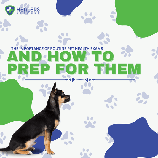 Pet owner preparing for a routine veterinary health exam, highlighting the importance of preventive care, vaccinations, and regular checkups for dogs and cats