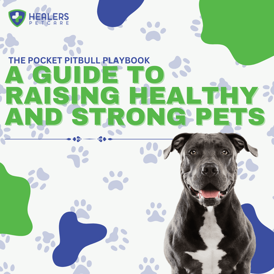 Pocket Pitbull puppy resting on a road, representing a complete guide to raising a healthy, strong, and happy Pocket Pitbull including diet, exercise, and training tips