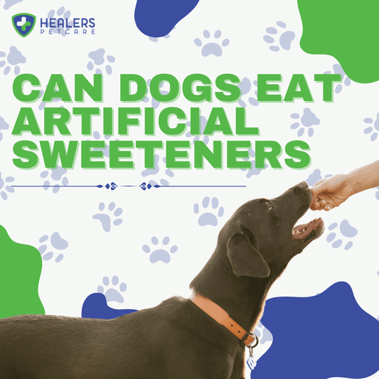 Warning graphic about artificial sweeteners and dogs, highlighting xylitol toxicity risks and how to keep your dog safe from sugar substitutes