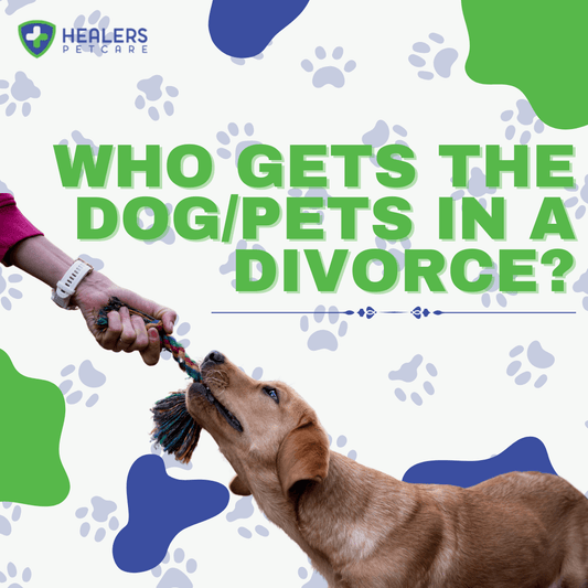 Dog sitting between two people representing pet custody decisions in a divorce, with guidance on legal factors, sole vs shared custody, and protecting your bond with your pet