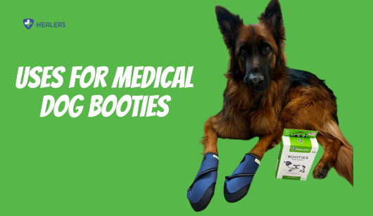 Dog wearing Healers medical booties for paw protection and recovery — uses for medical dog booties