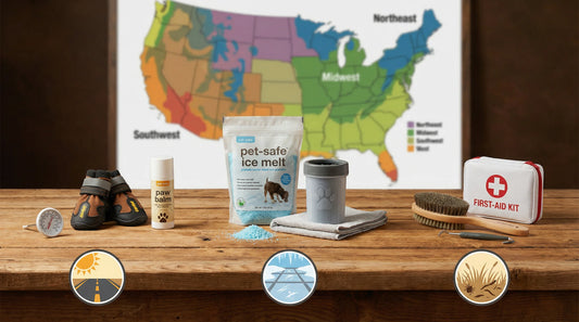 Seasonal Paw Hazards: Summer Heat, Winter Salt, and Shoulder‑Season Risks