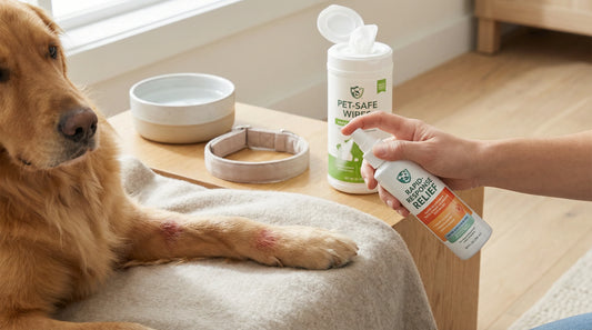 Hot Spots and Itchy Lesions: Fast Relief Without the Cone of Shame