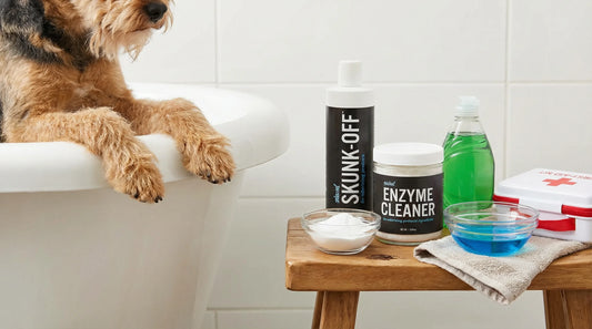 De‑Skunking and Stubborn Dog Odors: What Actually Works