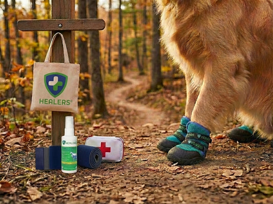 Dog wearing Healers paw protection boots outdoors — complete guide to outdoor paw protection from Healers PetCare