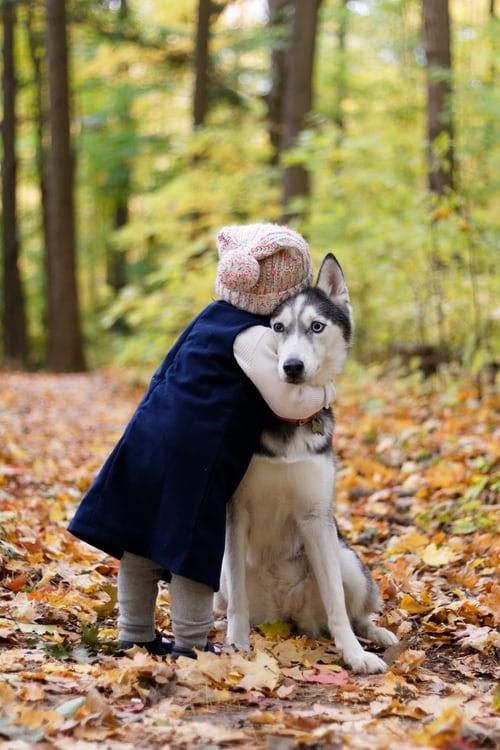 Dog being comforted with a hug, representing a guide to recognizing and treating anxiety in dogs including separation anxiety, fear-based anxiety, and age-related cognitive decline