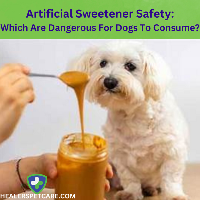 Can Dogs Eat Artificial Sweeteners
