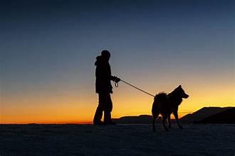 Dog walking safely at night with owner using LED visibility gear, representing tips for night walk safety including LED bandanas, LED jackets, headlamps, and leash use