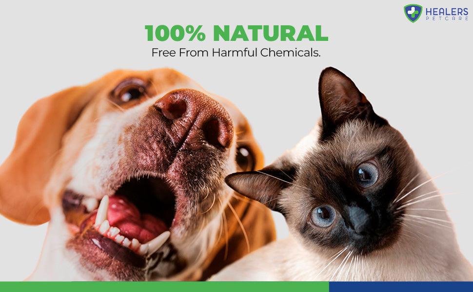 Happy dog and curious cat promoting Healers PetCare’s 100% natural, chemical-free formula safe for all pets.