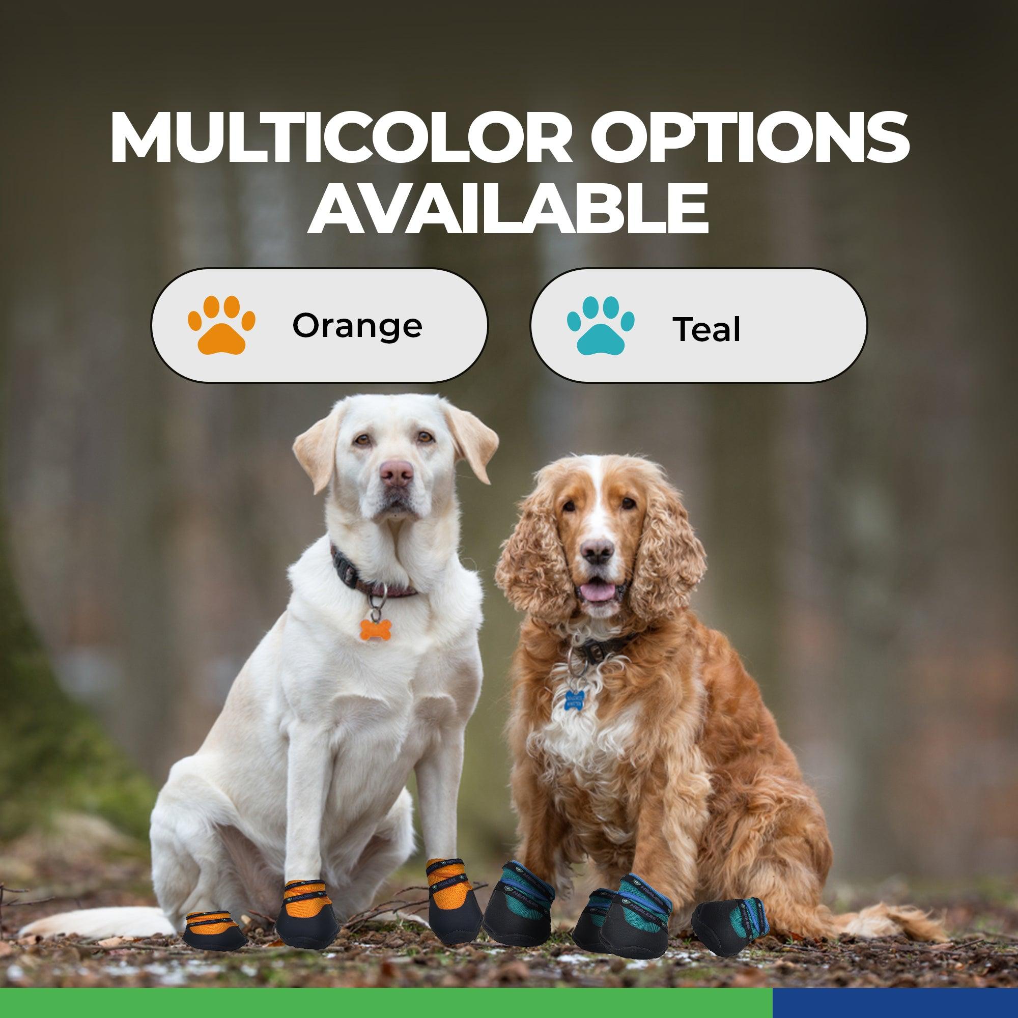 Healers Urban Walkers III - Dog Paw Protection | Shop Now