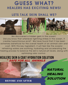 Healers Skin & Coat Grooming Solution