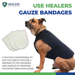 Healers Gauze Replacements - 2" Squares