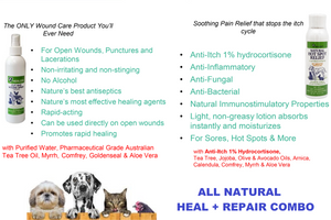 Healers Heal & Repair Kit