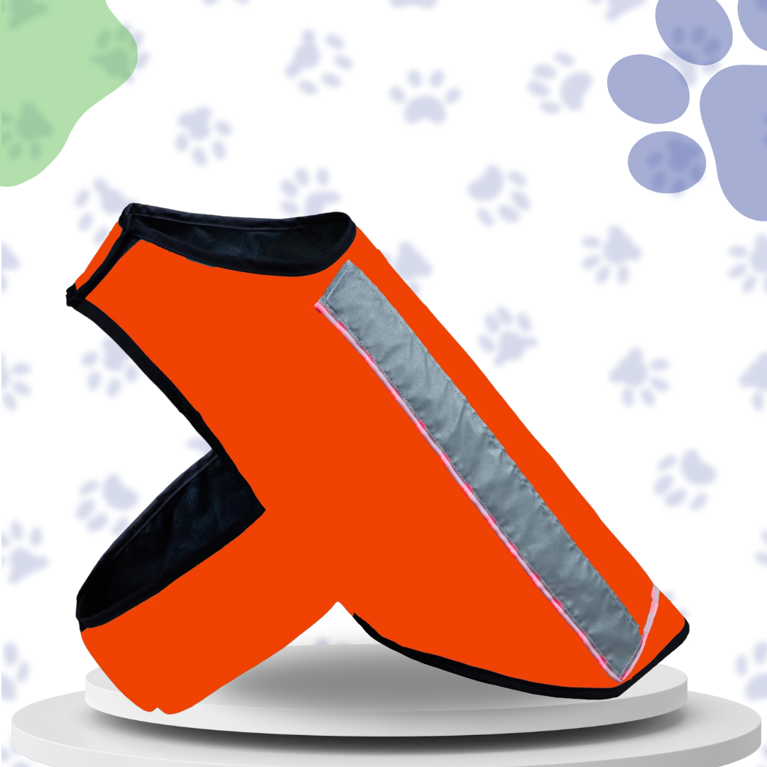 Healers lightweight orange dog jacket with soft shell front, mesh back, and LED strip for visibility.