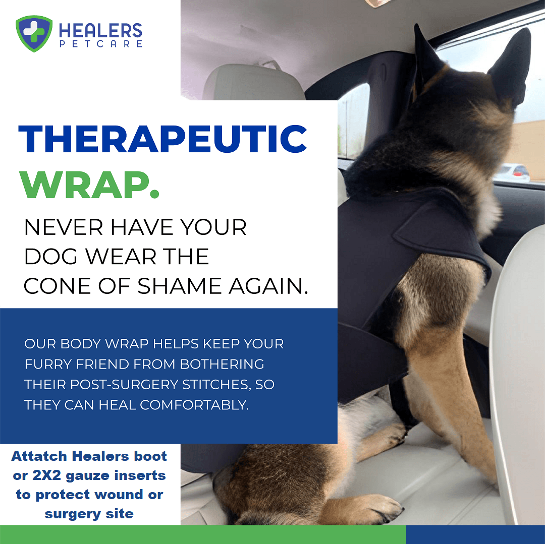 German Shepherd with black Healers Therapeutic Wrap in car. Ad text explains wrap helps post-surgery healing, avoids 'cone of shame'. Healers PetCare logo visible.