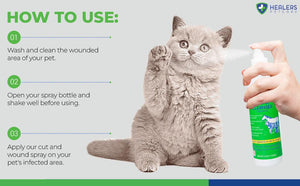Healers Wound Cleanser