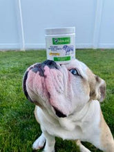 Healers Golden Turmeric Paste for Dogs