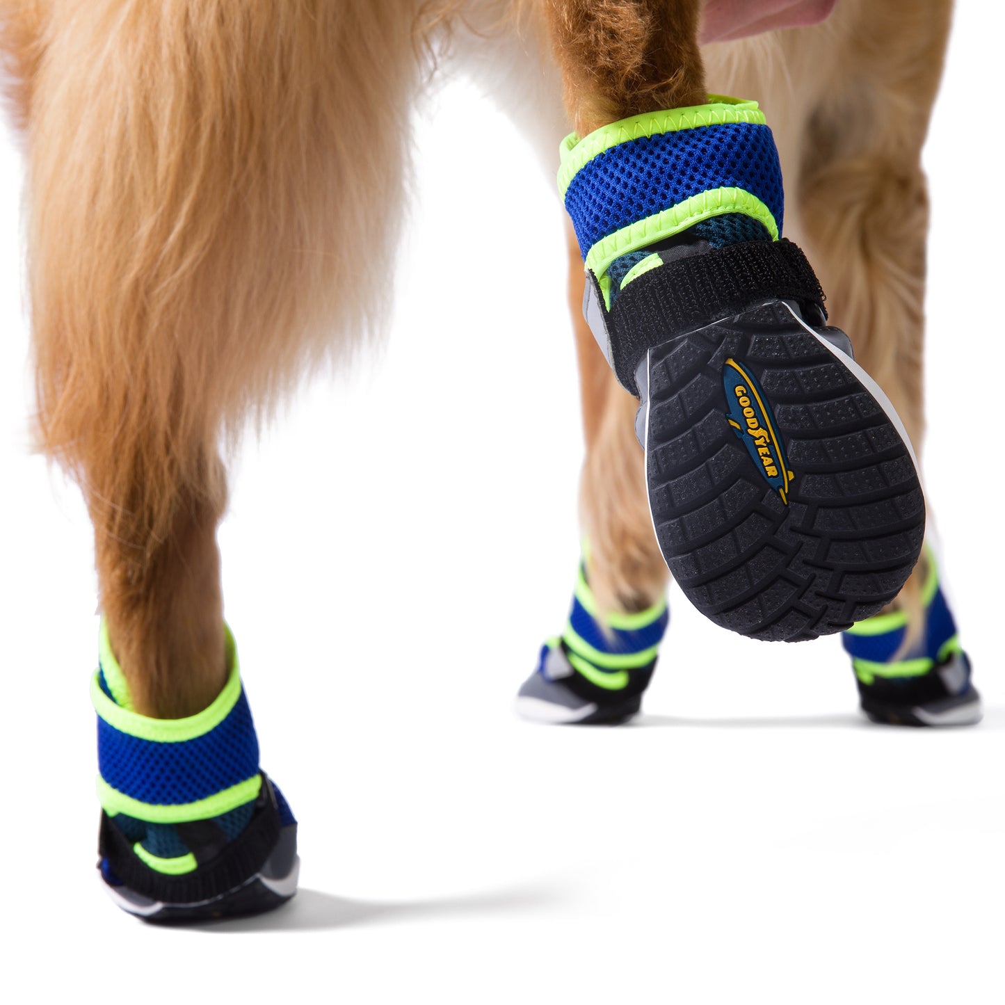 Healers-Goodyear Adventure Paws