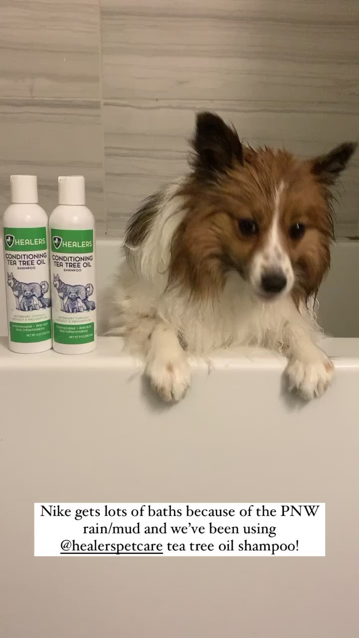 Tea Tree Oil Conditioning Shampoo for your Pets - Order Now