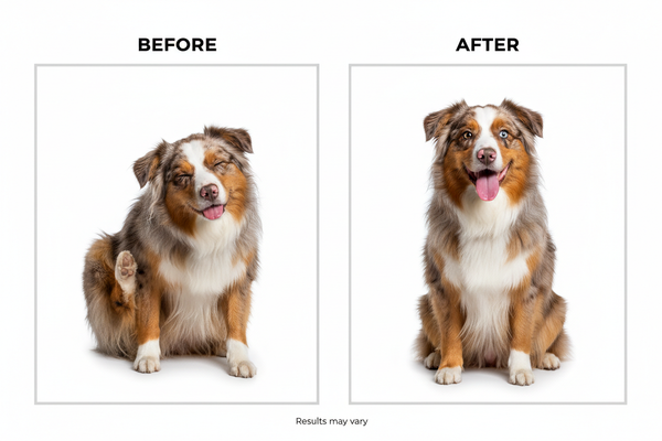 Tea Tree Shampoo - Left Rear Hind Leg Scratch