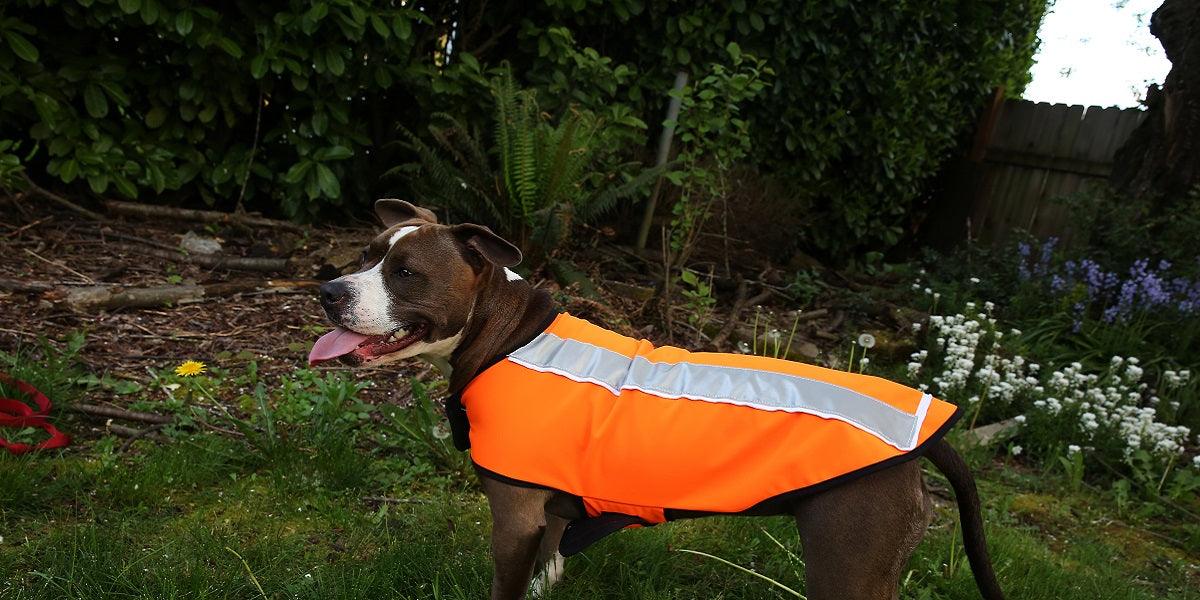 Spot-Lite LED Lighted Jacket